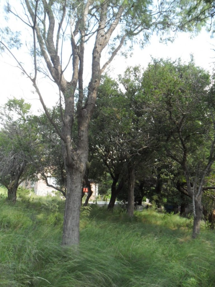 VENTA HERMOSO LOTE AL PIE DE LA MONTAÑA CORTADERAS SAN LUIS