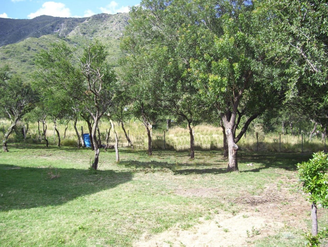 VENTA HERMOSO LOTE AL PIE DE LA MONTAÑA CORTADERAS SAN LUIS